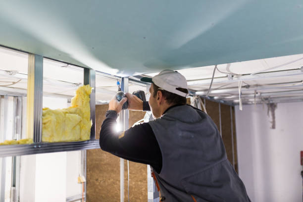 Best Best Insulation Companies  in Faribault, MN