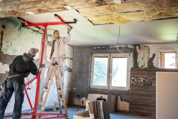 Best Insulation Inspection Services  in Faribault, MN