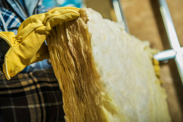 Best Best Insulation Companies  in Faribault, MN