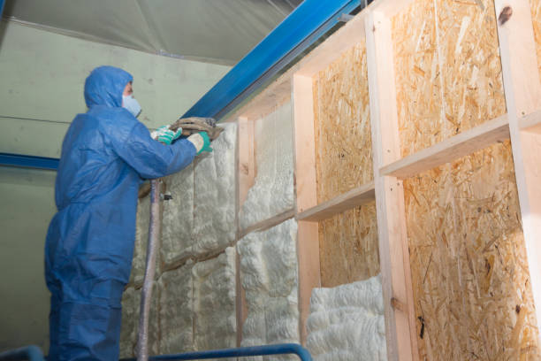 Best Attic Insulation Installation  in Faribault, MN