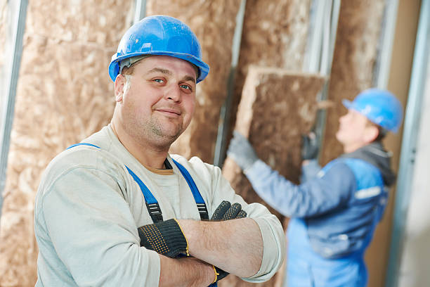 Best Cellulose Insulation  in Faribault, MN