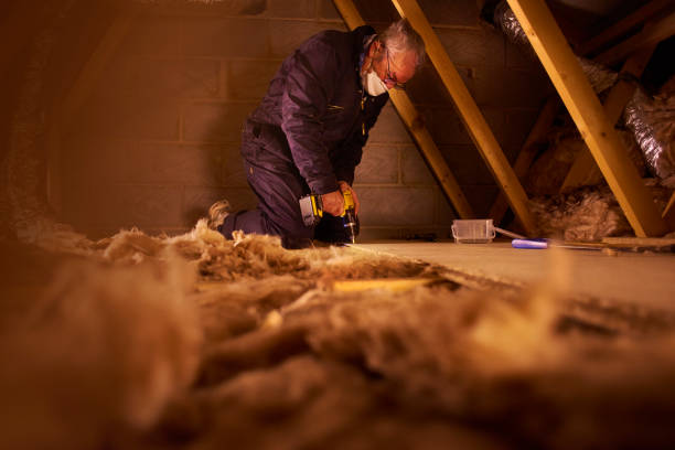 Best Garage Insulation Installation  in Faribault, MN